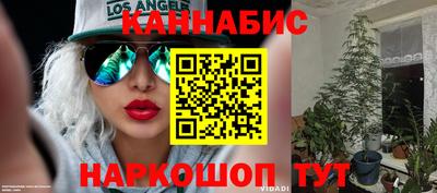 спайс Обь