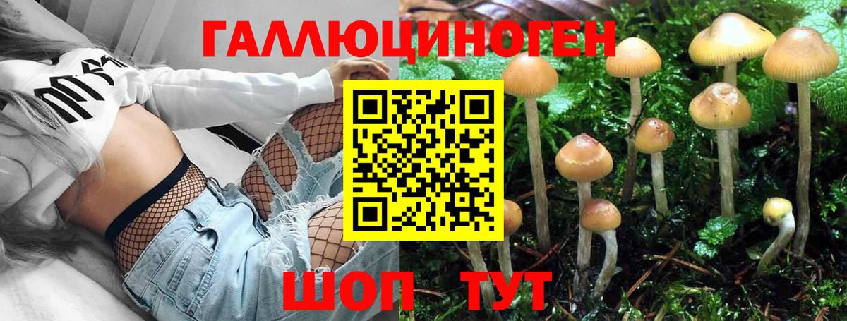 Бахчисарай  Галлюциногенные грибы Magic Shrooms  Псилоцибиновые грибы Magic Shrooms  Вход с VPN 