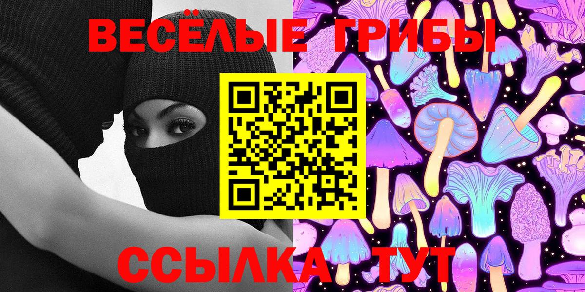 Псилоцибиновые грибы Cubensis Бахчисарай